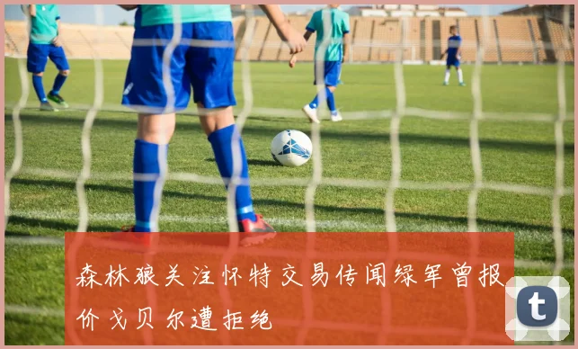 森林狼关注怀特交易传闻绿军曾报价戈贝尔遭拒绝