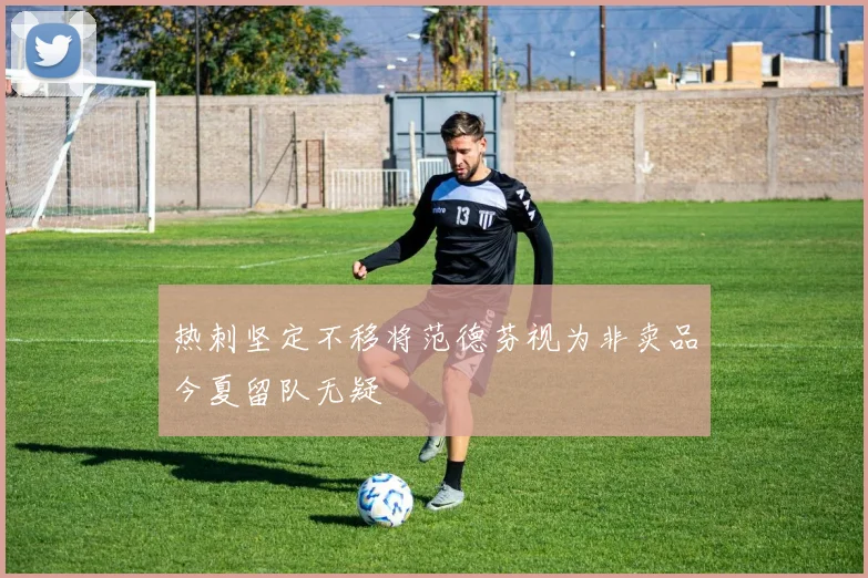 热刺坚定不移将范德芬视为非卖品今夏留队无疑