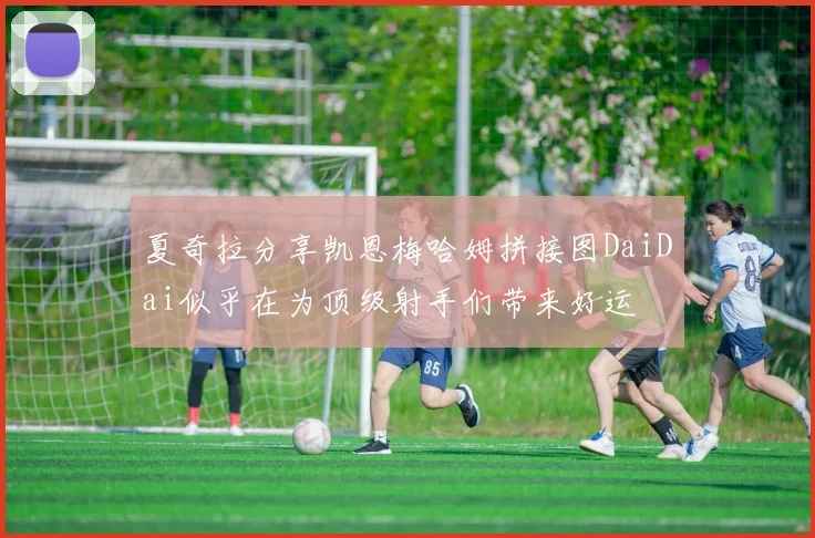 夏奇拉分享凯恩梅哈姆拼接图DaiDai似乎在为顶级射手们带来好运