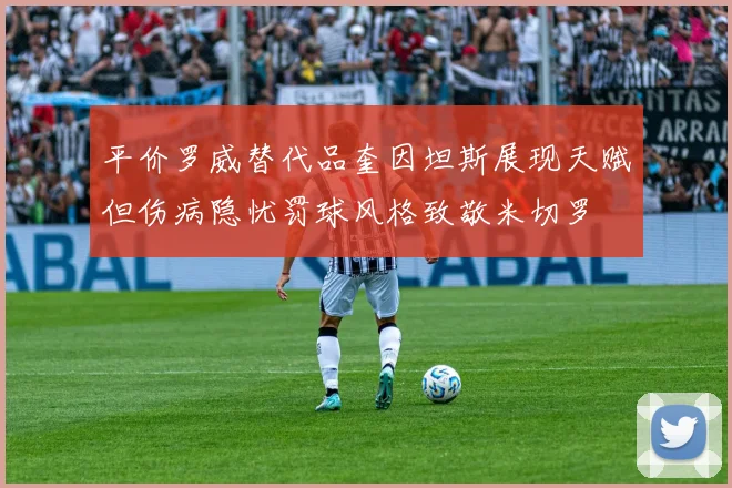 平价罗威替代品奎因坦斯展现天赋但伤病隐忧罚球风格致敬米切罗