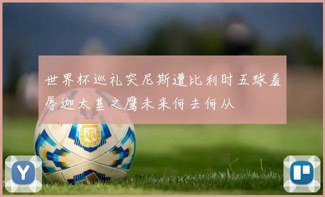 世界杯巡礼突尼斯遭比利时五球羞辱迦太基之鹰未来何去何从